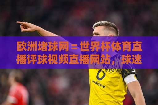 欧洲堵球网＝世界杯体育直播评球视频直播网站，球迷熬夜看球新据点？