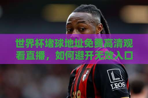世界杯堵球地址免费高清观看直播，如何避开无效入口？【世界杯堵球地址】实用指南来了