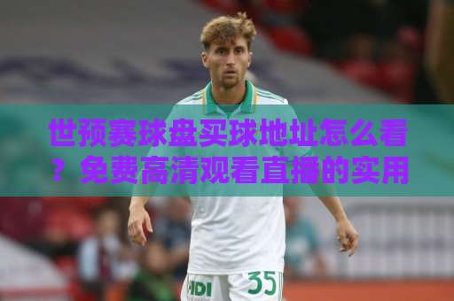 世预赛球盘买球地址怎么看?免费高清观看直播的实用指南来了 世预赛球盘买球地址怎么看?免费高清观看直播的实用指南来了