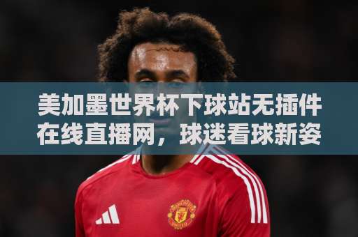 美加墨世界杯下球站无插件在线直播网，球迷看球新姿势（2026观赛指南）