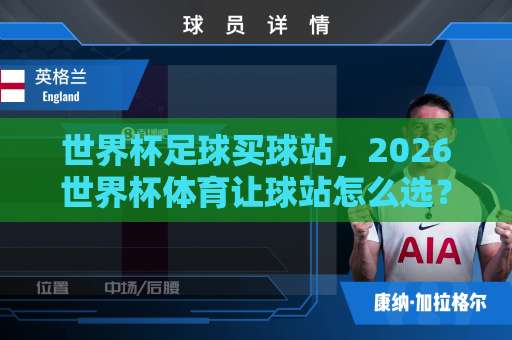 世界杯足球买球站，2026世界杯体育让球站怎么选？聊聊9体育网的实战体验