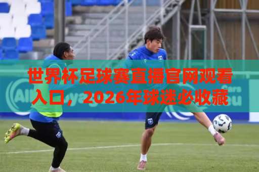 世界杯足球赛直播官网观看入口，2026年球迷必收藏的观赛指南（官网）