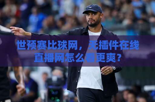 世预赛比球网，无插件在线直播网怎么看更爽？