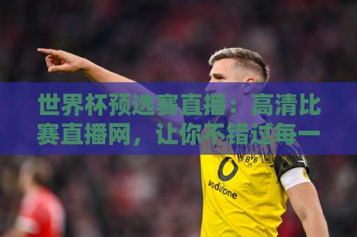 世界杯预选赛直播：高清比赛直播网，让你不错过每一场精彩！