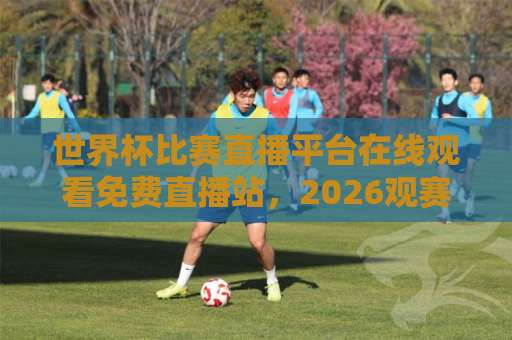 世界杯比赛直播平台在线观看免费直播站，2026观赛指南