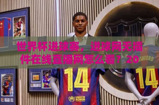 世界杯进球赛，进球网无插件在线直播网怎么看？2026观赛指南