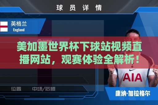 美加墨世界杯下球站视频直播网站，观赛体验全解析！【球迷必看】