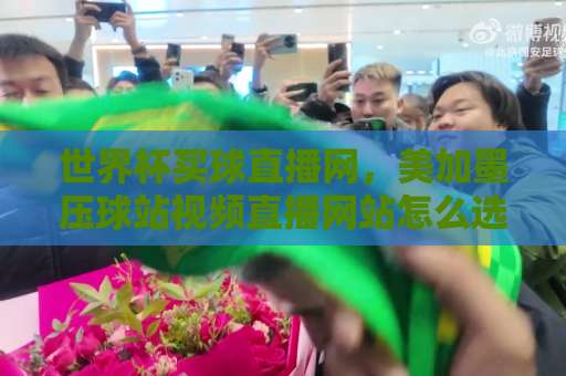 世界杯买球直播网，美加墨压球站视频直播网站怎么选？