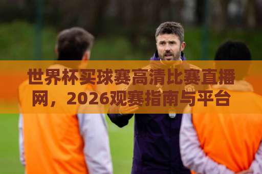 世界杯买球赛高清比赛直播网，2026观赛指南与平台推荐！
