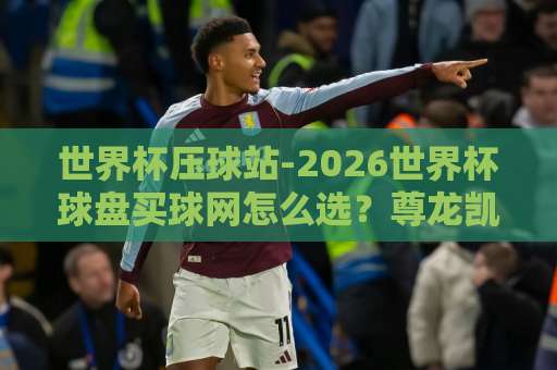 世界杯压球站-2026世界杯球盘买球网怎么选？尊龙凯时体育网老玩家说实话！