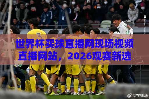 世界杯买球直播网现场视频直播网站，2026观赛新选择！