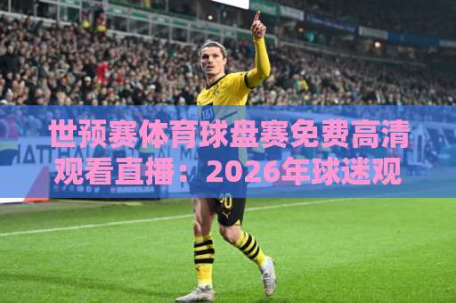 世预赛体育球盘赛免费高清观看直播：2026年球迷观赛避坑指南与实用渠道盘点
