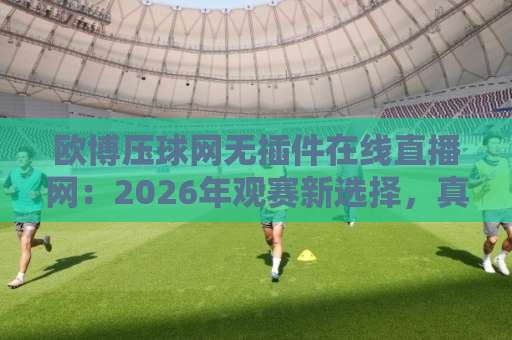 欧博压球网无插件在线直播网：2026年观赛新选择，真能告别卡顿与弹窗吗？