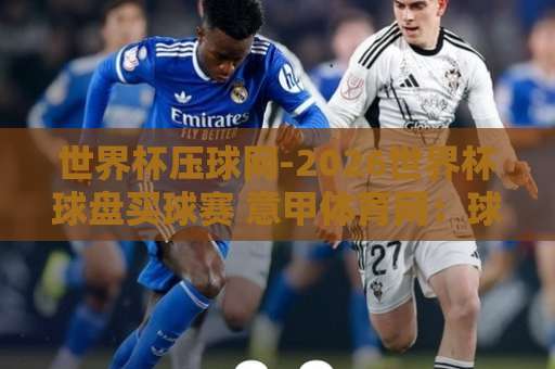 世界杯压球网-2026世界杯球盘买球赛 意甲体育网：球迷的终极观赛指南