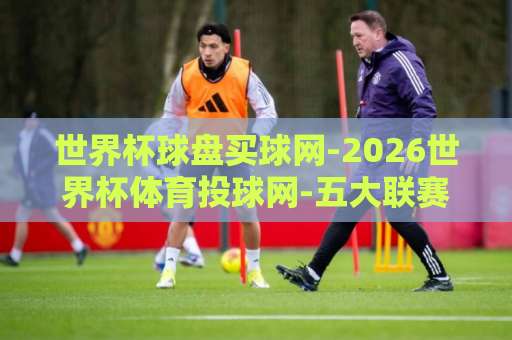 世界杯球盘买球网-2026世界杯体育投球网-五大联赛体育网：从新手到老手的实战指南【必读】