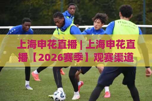 上海申花直播 | 上海申花直播【2026赛季】观赛渠道+赛程前瞻+避坑指南-凌晨信誉电脑最新堵球网频道软件流畅免安装在线看全场录像 上海申花直播 | 上海申花直播【2026赛季】观赛渠道+赛程前瞻+避坑指南-凌晨信誉电脑最新堵球网频道软件流畅免安装在线看全场录像