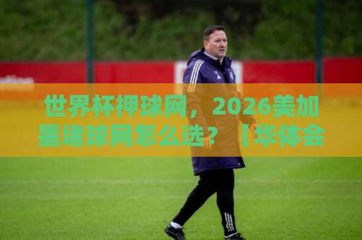 世界杯押球网，2026美加墨堵球网怎么选？【华体会下球网】实测体验分享