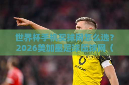 世界杯手机买球网怎么选？2026美加墨足球压球网（8868球盘网）实战指南