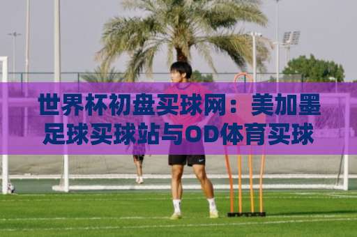世界杯初盘买球网：美加墨足球买球站与OD体育买球站，2026年必看指南