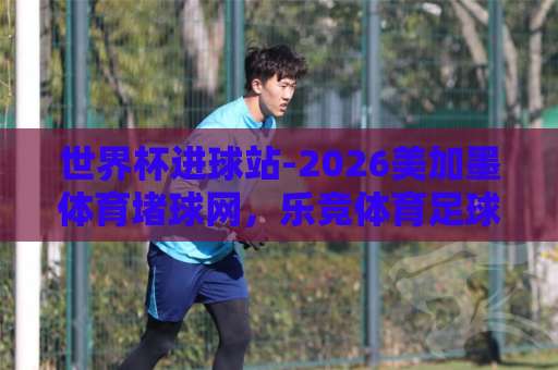 世界杯进球站-2026美加墨体育堵球网，乐竞体育足球买球实战解析【2026美加墨】