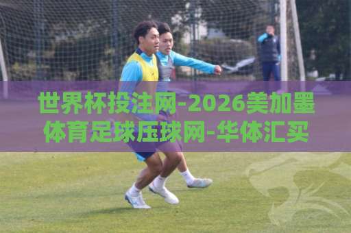 世界杯投注网-2026美加墨体育足球压球网-华体汇买球网：挑选靠谱平台必看攻略【世界杯投注网】避坑指南