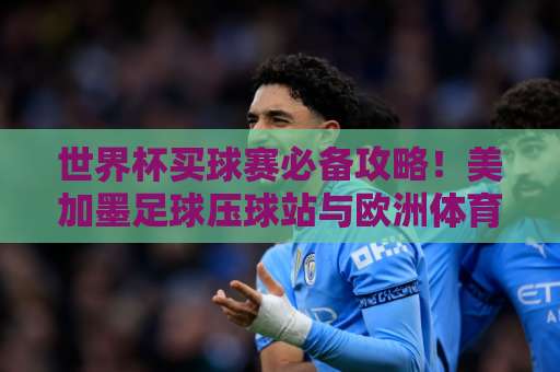世界杯买球赛必备攻略！美加墨足球压球站与欧洲体育买球站2026最新推荐