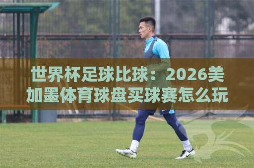 世界杯足球比球：2026美加墨体育球盘买球赛怎么玩？【bob球盘买球】指南