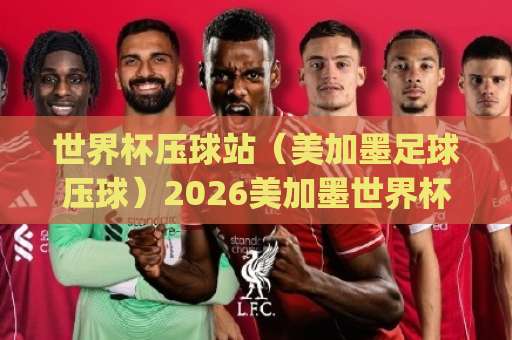 世界杯压球站(美加墨足球压球)2026美加墨世界杯压球攻略:JN江南球盘真实体验分享 世界杯压球站(美加墨足球压球)2026美加墨世界杯压球攻略:JN江南球盘真实体验分享