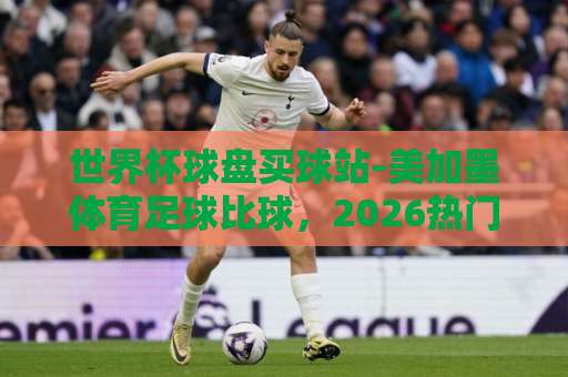 世界杯球盘买球站-美加墨体育足球比球,2026热门选择【KU体育买球】靠谱吗? 世界杯球盘买球站-美加墨体育足球比球,2026热门选择【KU体育买球】靠谱吗?