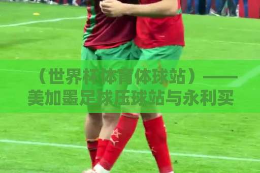 （世界杯体育体球站）——美加墨足球压球站与永利买球站，2026年球迷必看指南！