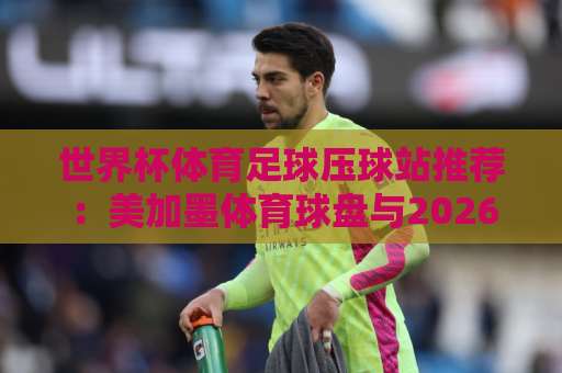 世界杯体育足球压球站推荐：美加墨体育球盘与2026新宝买球站实战解析【世界杯体育足球压球站】