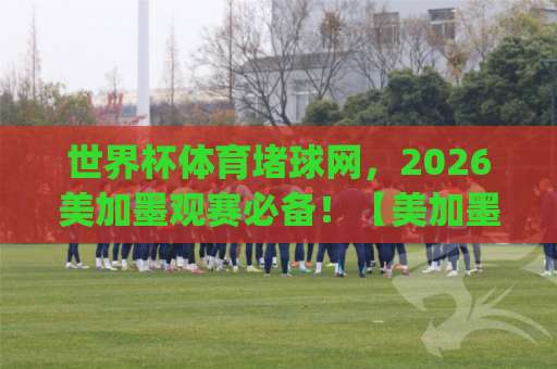 世界杯体育堵球网，2026美加墨观赛必备！【美加墨买球网】+ag体育玩球网实测指南