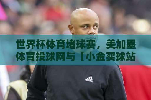 世界杯体育堵球赛，美加墨体育投球网与【小金买球站】2026年投注平台实测