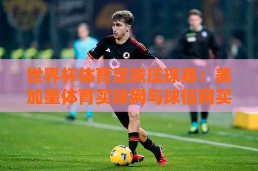 世界杯体育足球压球赛：美加墨体育买球网与球信网买球网深度解析【2026世界杯】投注攻略