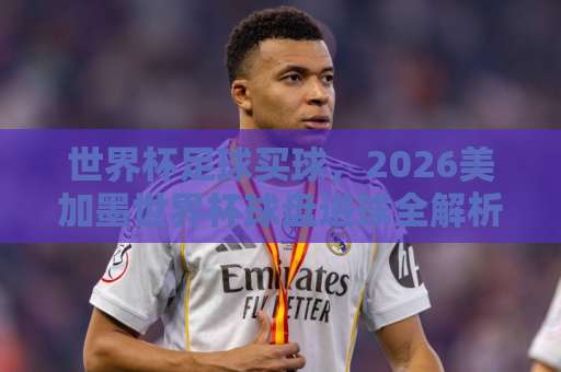 世界杯足球买球，2026美加墨世界杯球盘进球全解析【球盟会买球网】权威指南