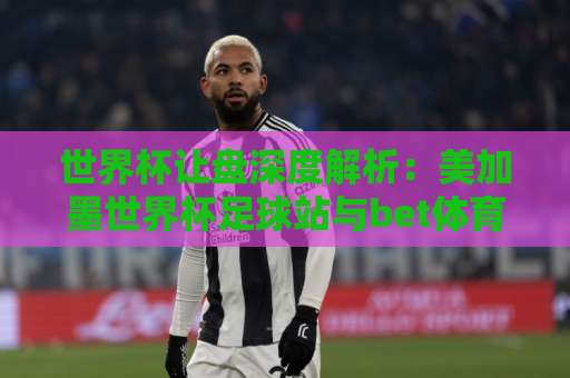 世界杯让盘深度解析：美加墨世界杯足球站与bet体育足球网（2026指南）！