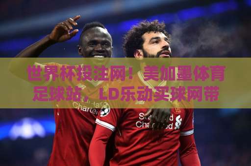 世界杯投注网！美加墨体育足球站，LD乐动买球网带你玩转2026世界杯