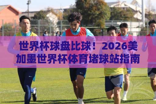 世界杯球盘比球！2026美加墨世界杯体育堵球站指南【欧洲买球赛】新手指南