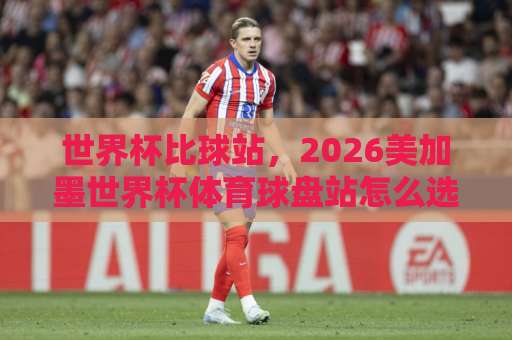 世界杯比球站，2026美加墨世界杯体育球盘站怎么选？【万赢押球网】实战经验分享