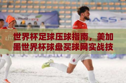 世界杯足球压球指南，美加墨世界杯球盘买球网实战技巧！【欧洲体育买球盘】新手避坑手册