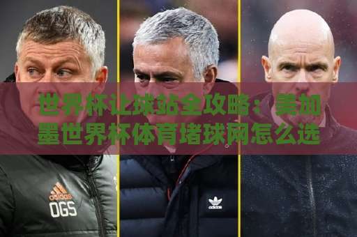 世界杯让球站全攻略：美加墨世界杯体育堵球网怎么选？【新世纪体育买球】实战技巧
