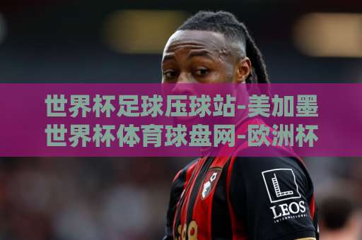 世界杯足球压球站-美加墨世界杯体育球盘网-欧洲杯球网下球站：2026年球迷必看指南【世界杯足球压球站】深度解析