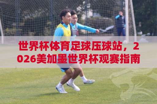 世界杯体育足球压球站，2026美加墨世界杯观赛指南！【欧洲杯玩球网】经验分享