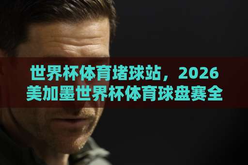 世界杯体育堵球站，2026美加墨世界杯体育球盘赛全攻略【欧洲杯FIFA买球盘】新手避坑指南
