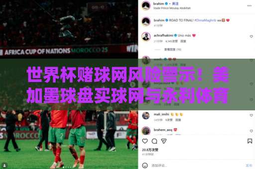 世界杯赌球网风险警示！美加墨球盘买球网与永利体育买球网真相揭秘