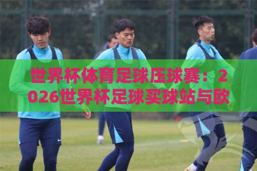世界杯体育足球压球赛：2026世界杯足球买球站与欧洲杯压球站，如何选择靠谱平台？【2026世界杯足球买球站】安全指南