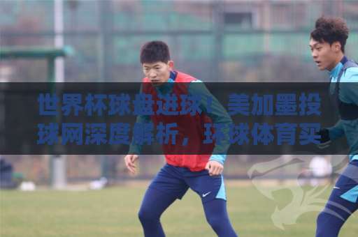 世界杯球盘进球！美加墨投球网深度解析，环球体育买球网独家预测2026年夺冠热门