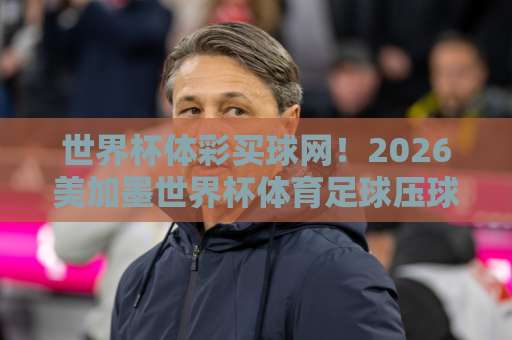 世界杯体彩买球网！2026美加墨世界杯体育足球压球攻略【中欧买球网】避坑指南