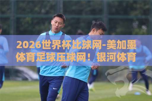 2026世界杯比球网-美加墨体育足球压球网！银河体育买球全攻略：如何玩转足球预测？