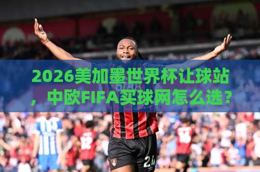 2026美加墨世界杯让球站，中欧FIFA买球网怎么选？【世界杯让球站-2026美加墨让球站-中欧FIFA买球网】